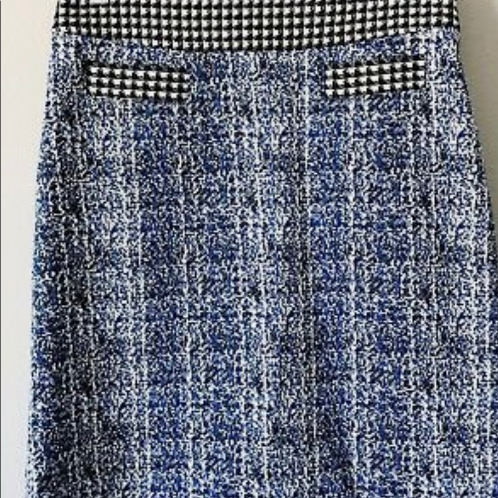 CAbi skirt